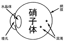 公益社団法人 鳥取県医師会